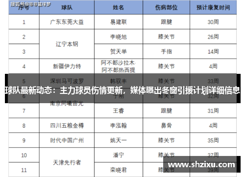 球队最新动态：主力球员伤情更新，媒体曝出冬窗引援计划详细信息