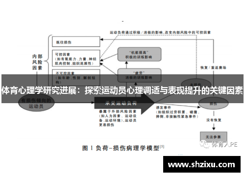 体育心理学研究进展：探索运动员心理调适与表现提升的关键因素