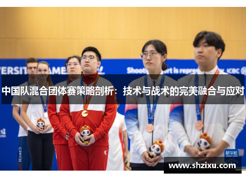 中国队混合团体赛策略剖析：技术与战术的完美融合与应对