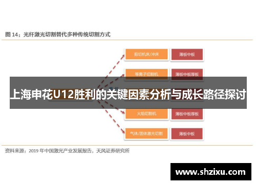 上海申花U12胜利的关键因素分析与成长路径探讨