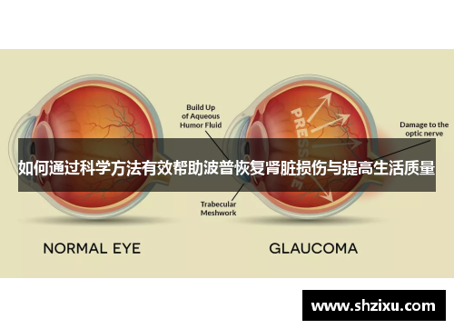 如何通过科学方法有效帮助波普恢复肾脏损伤与提高生活质量