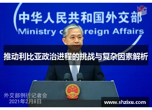推动利比亚政治进程的挑战与复杂因素解析