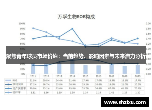 聚焦青年球员市场价值：当前趋势、影响因素与未来潜力分析