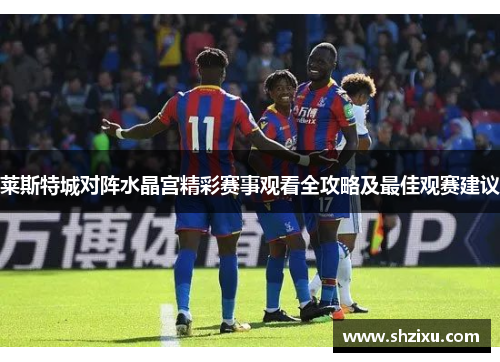 莱斯特城对阵水晶宫精彩赛事观看全攻略及最佳观赛建议 莱斯特城对阵水晶宫精彩赛事观看全攻略及最佳观赛建议