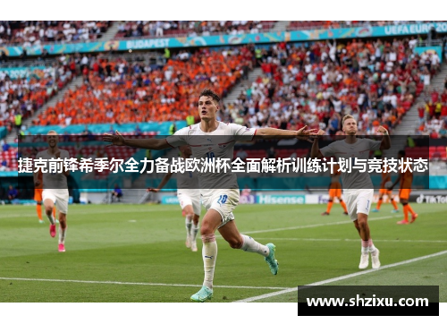 捷克前锋希季尔全力备战欧洲杯全面解析训练计划与竞技状态